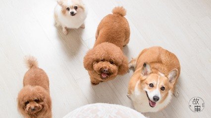 TPWallet钱包安卓版